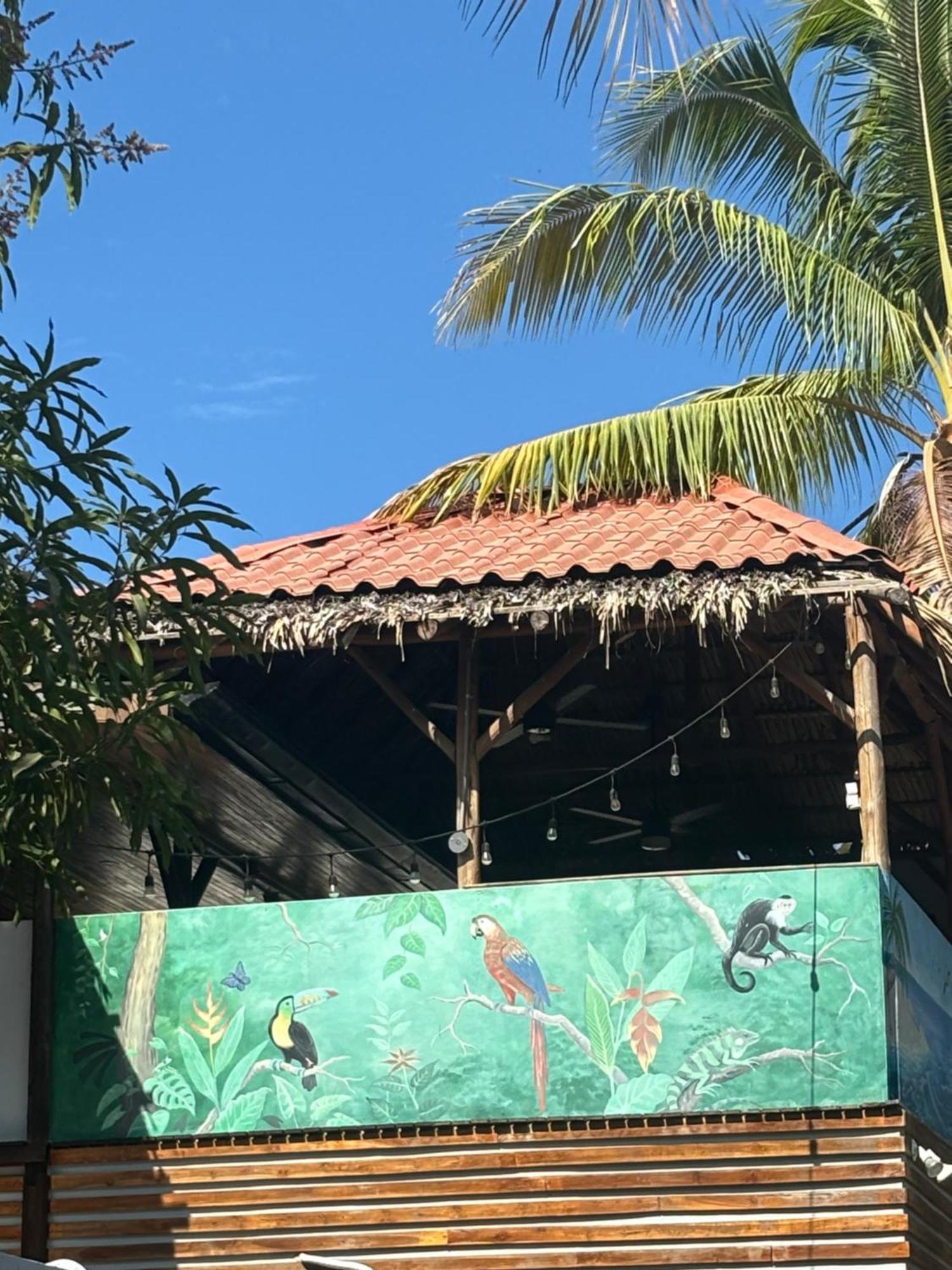 金塔艾森西亚住宿加早餐旅馆 巴希利托 外观 照片